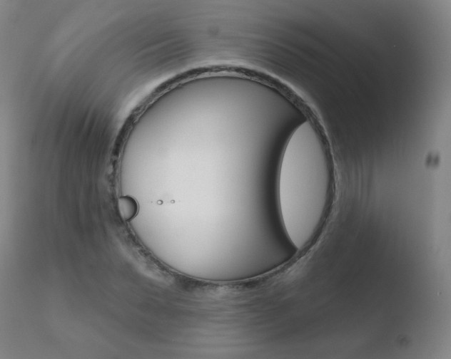 X0000110720879200906121244