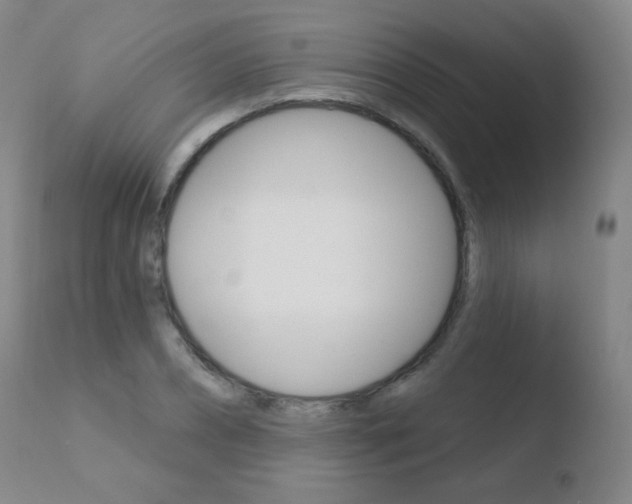 X0000110720882200906121244