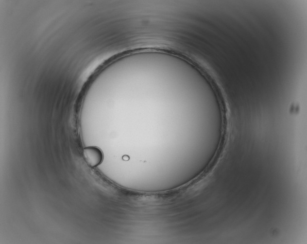 X0000110720883200906121244