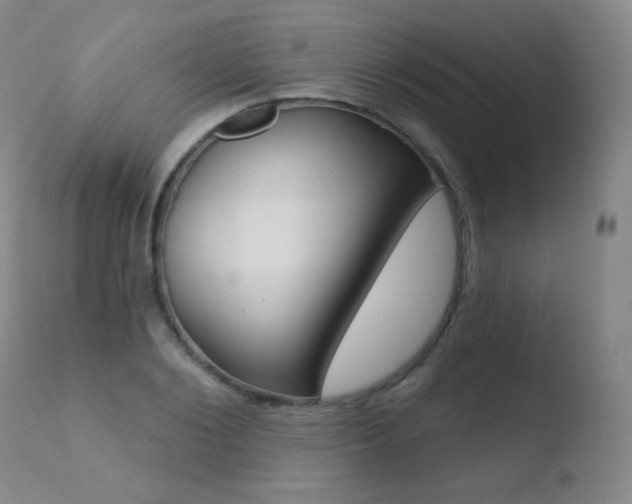 X0000110720884200906121244