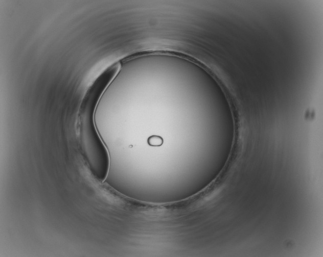 X0000110720885200906121244