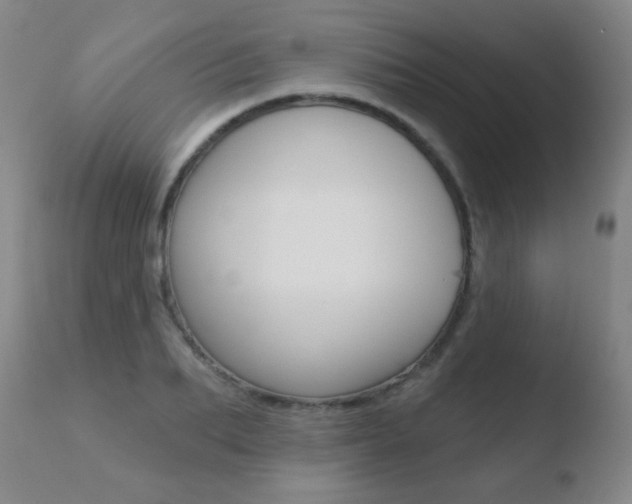 X0000110720887200906121244