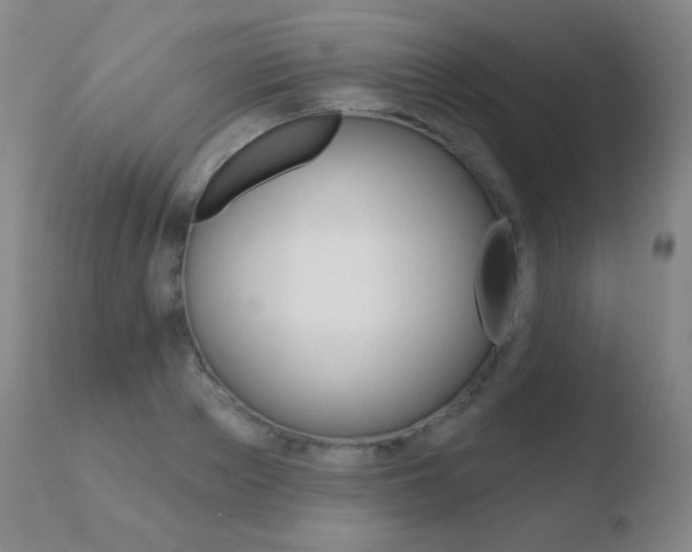 X0000110720889200906121244