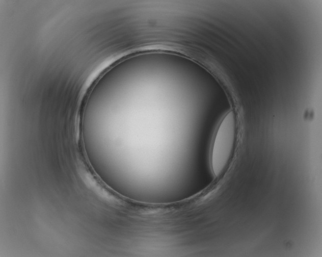 X0000110720892200906121244