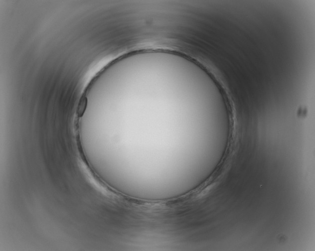 X0000110720893200906121244
