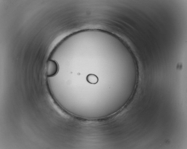 X0000110720894200906121244