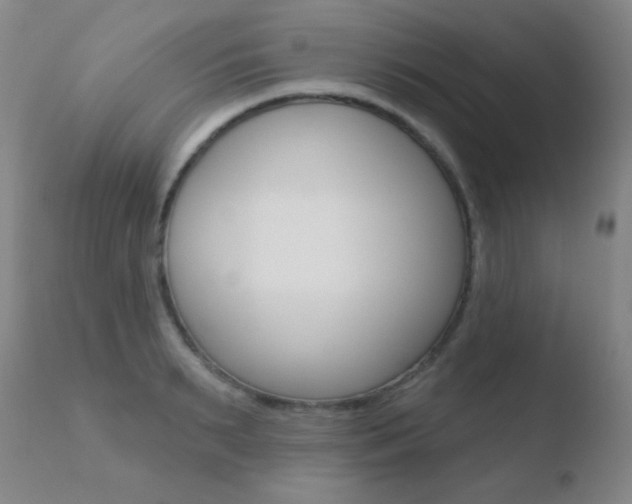 X0000110720895200906121244