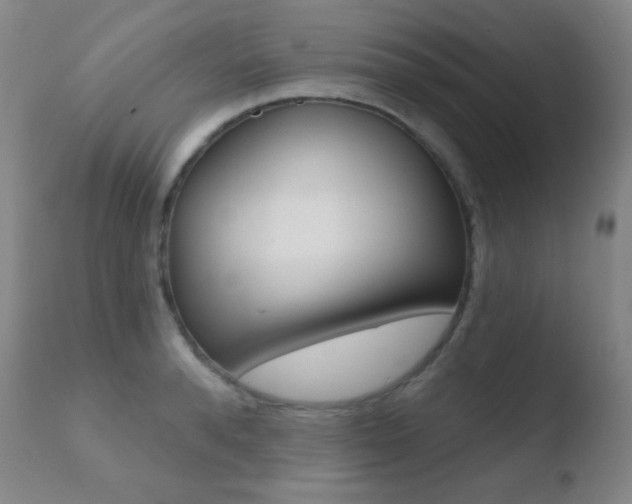 X0000110720896200906121244