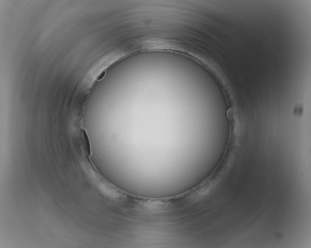 X0000110720897200906121244