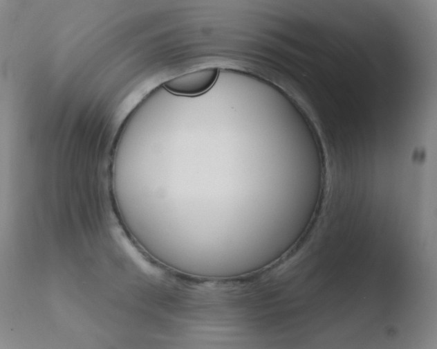 X0000110720898200906121244