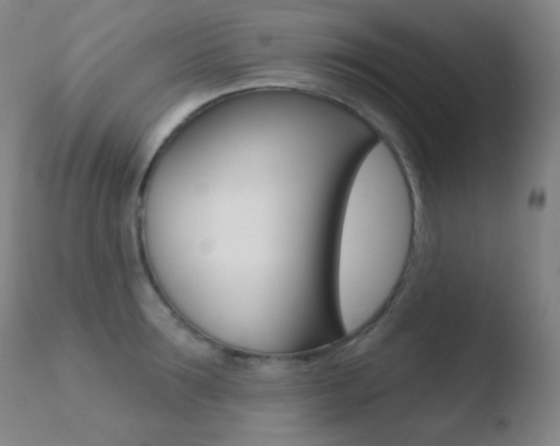 X0000110720899200906121244