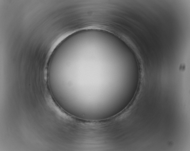 X0000110720900200906121244