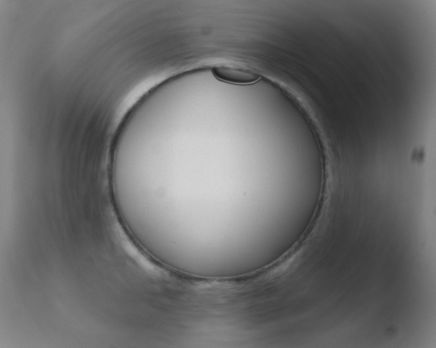 X0000110720902200906121244