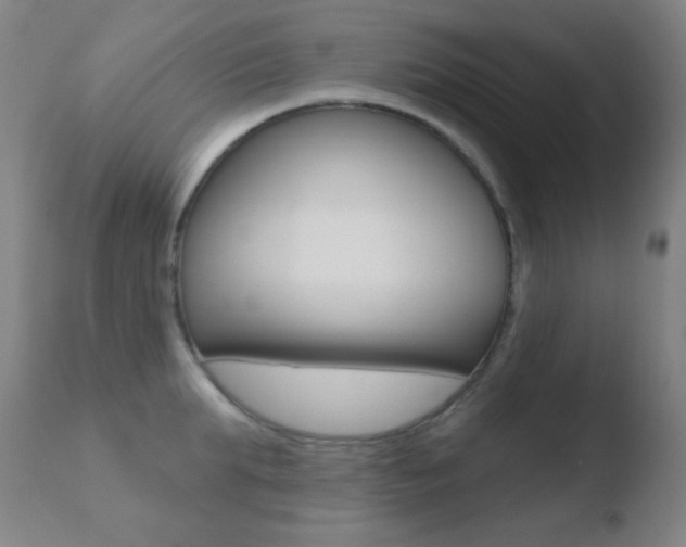 X0000110720903200906121244