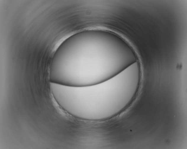 X0000110720905200906121244