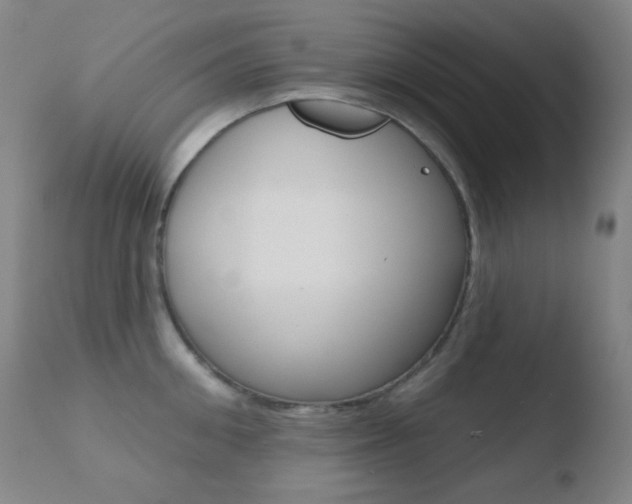 X0000110720906200906121244