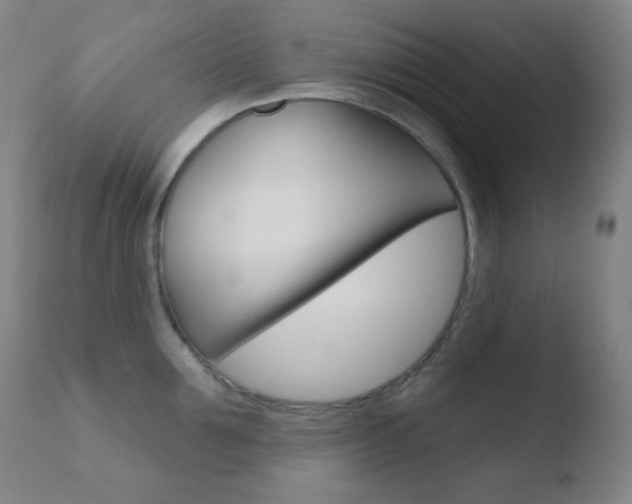 X0000110720907200906121244