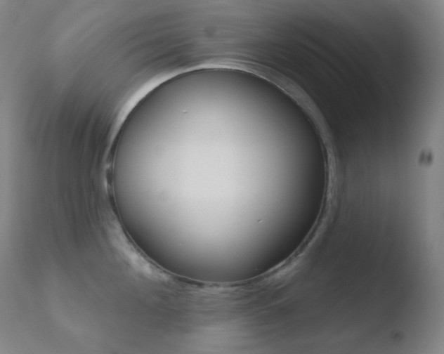 X0000110720908200906121244