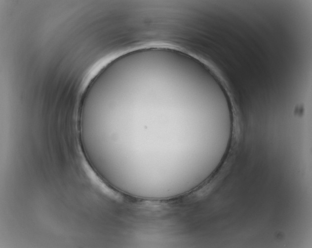 X0000110720910200906121243