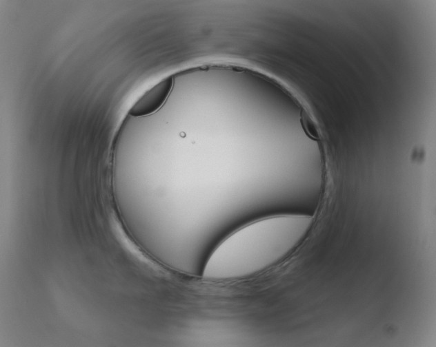 X0000110720911200906121243