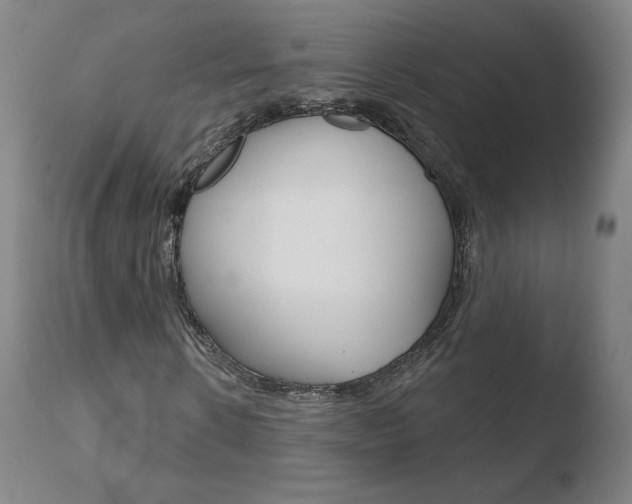 X0000110720914200906121243