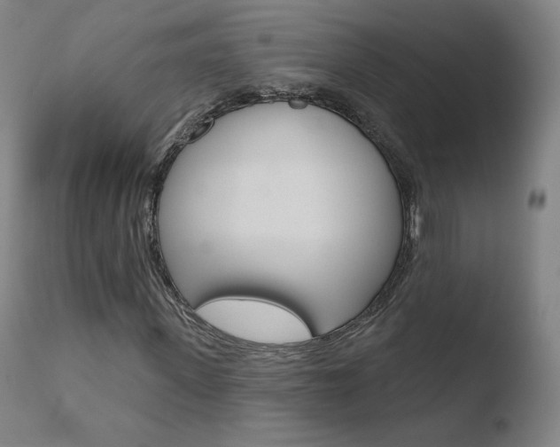 X0000110720915200906121243