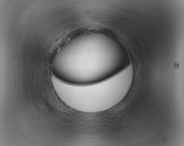X0000110720916200906121243