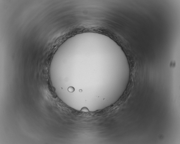 X0000110720917200906121243