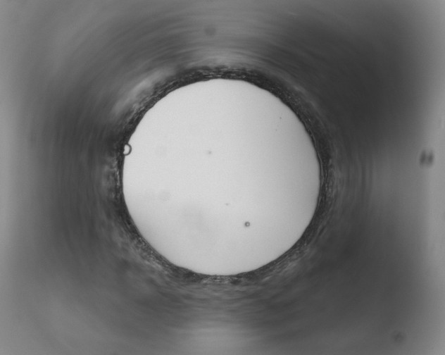X0000110720918200906121243