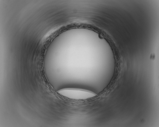 X0000110720919200906121243