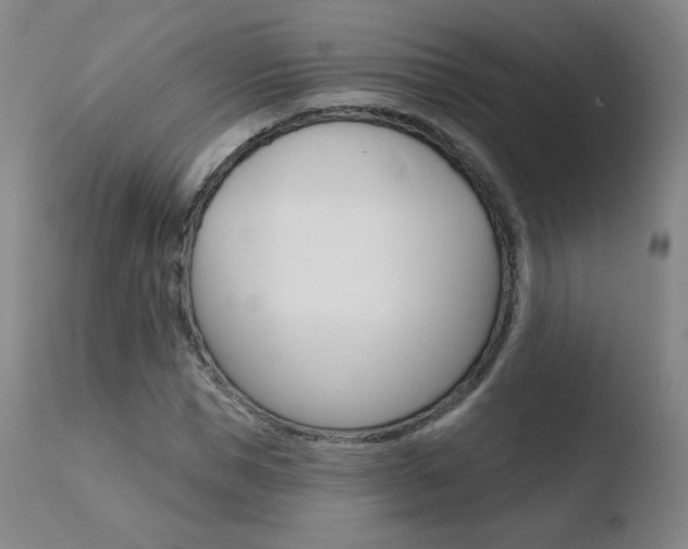 X0000110720921200906121243