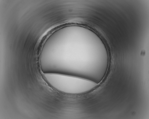 X0000110720923200906121243