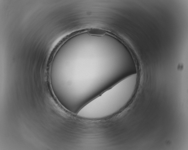 X0000110720924200906121243