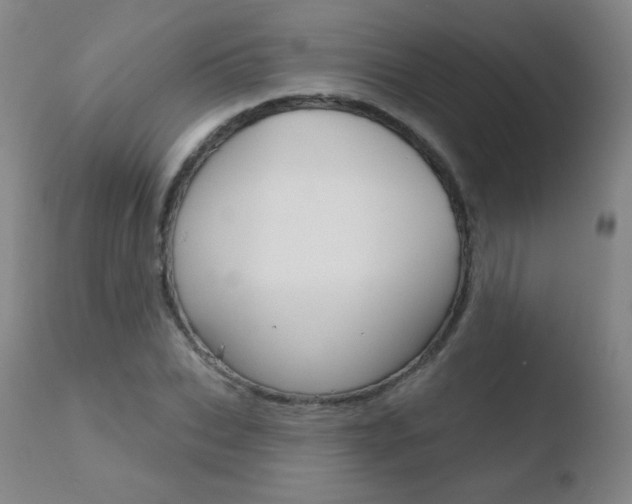 X0000110720927200906121243