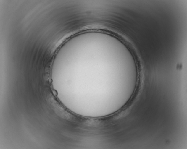 X0000110720929200906121243