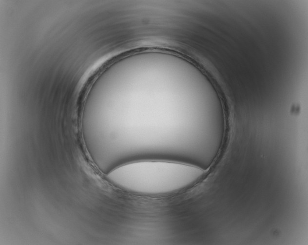 X0000110720931200906121243
