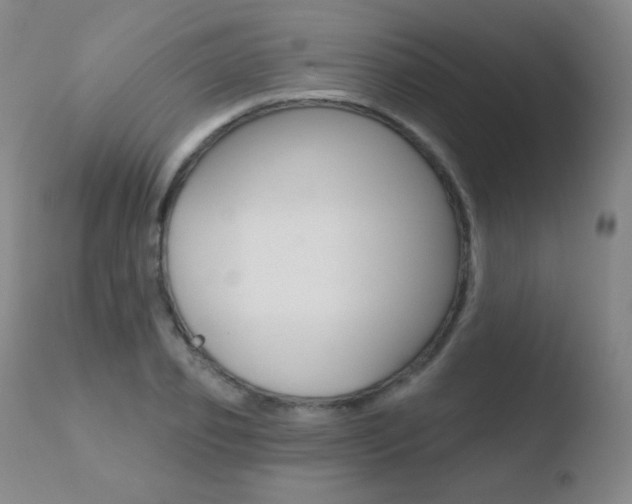 X0000110720933200906121243