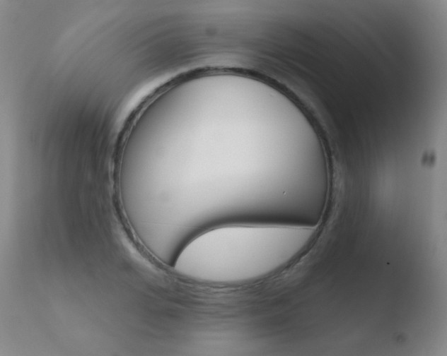 X0000110720935200906121243