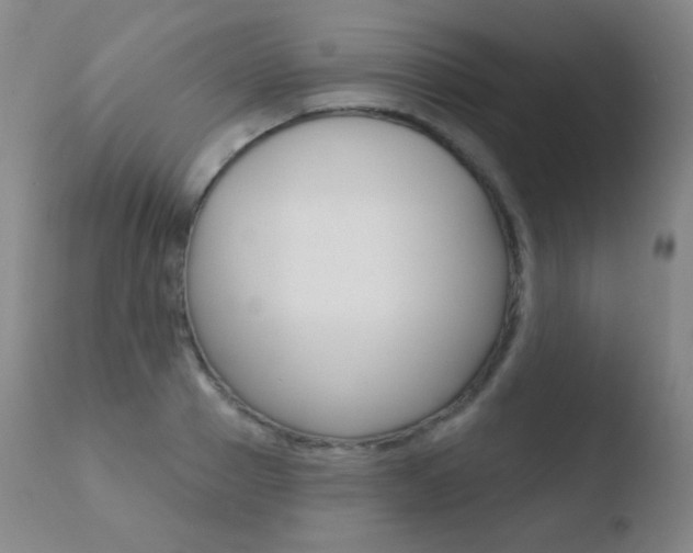 X0000110720937200906121243