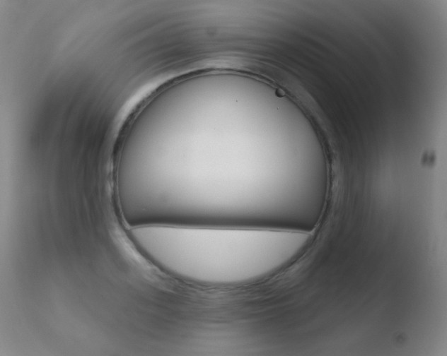 X0000110720939200906121243