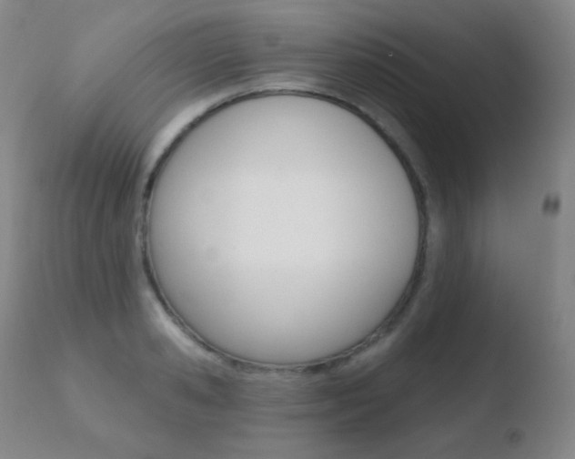 X0000110720941200906121243