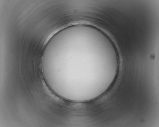 X0000110720945200906121243