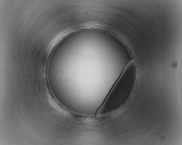 X0000110720946200906121243