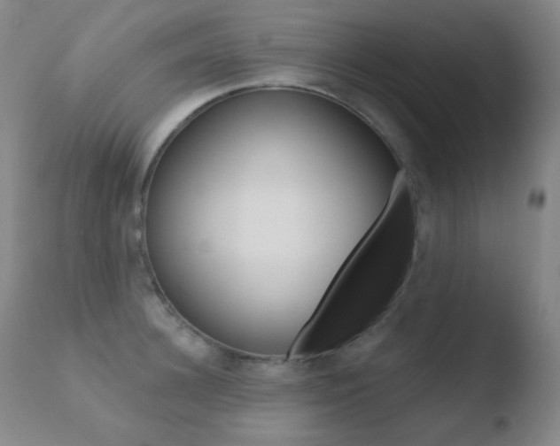 X0000110720948200906121243