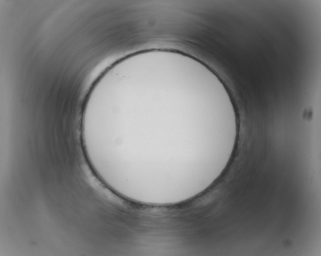 X0000110720950200906121243