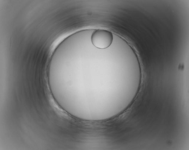 X0000110720952200906121243
