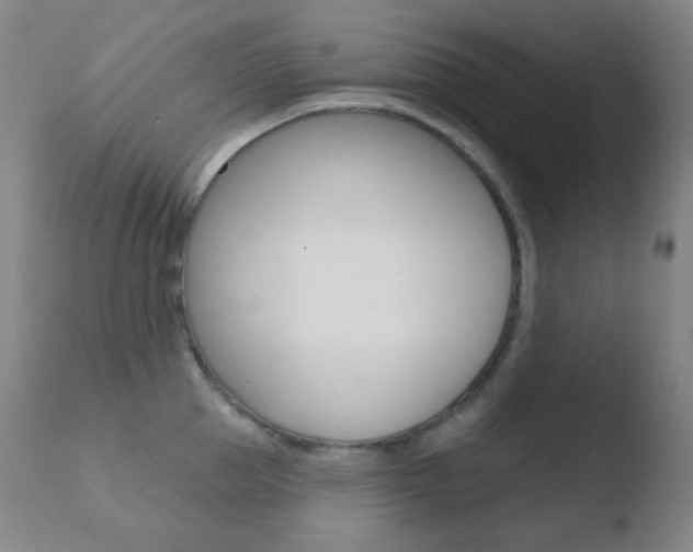 X0000110720953200906121243