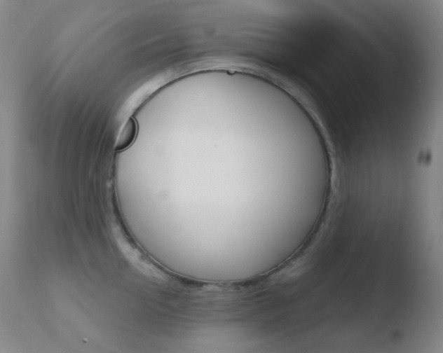 X0000110720954200906121243