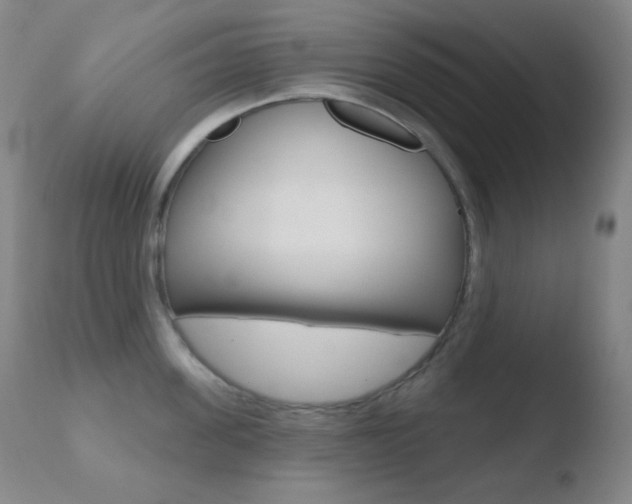 X0000110720955200906121243