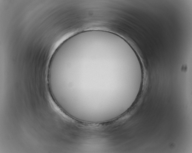 X0000110720957200906121243